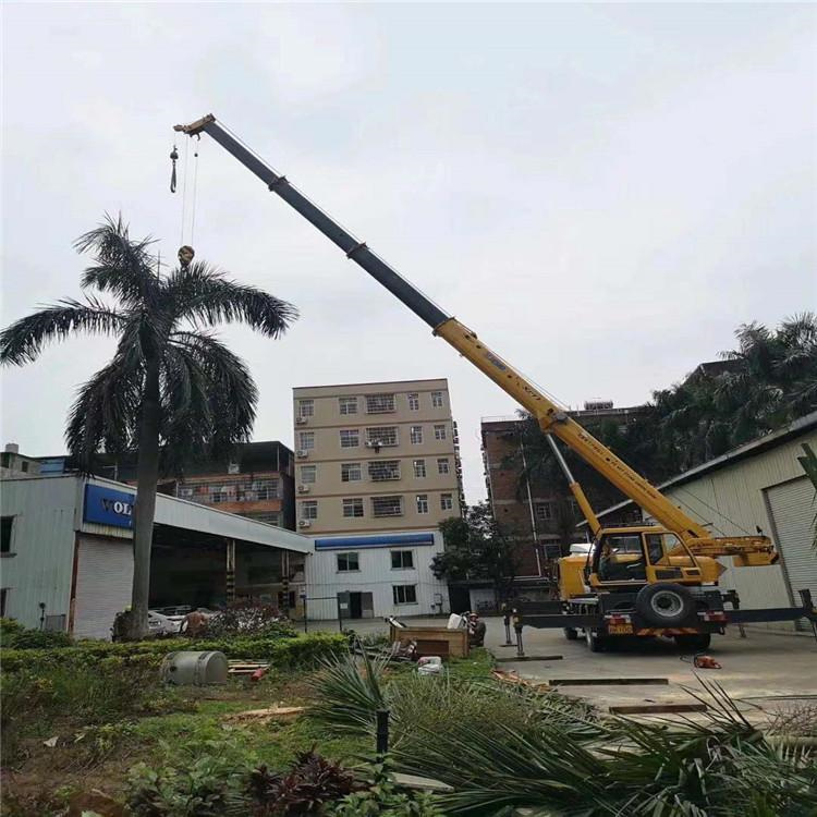 沧县汽车吊出租多少钱？全面解析与市场行情